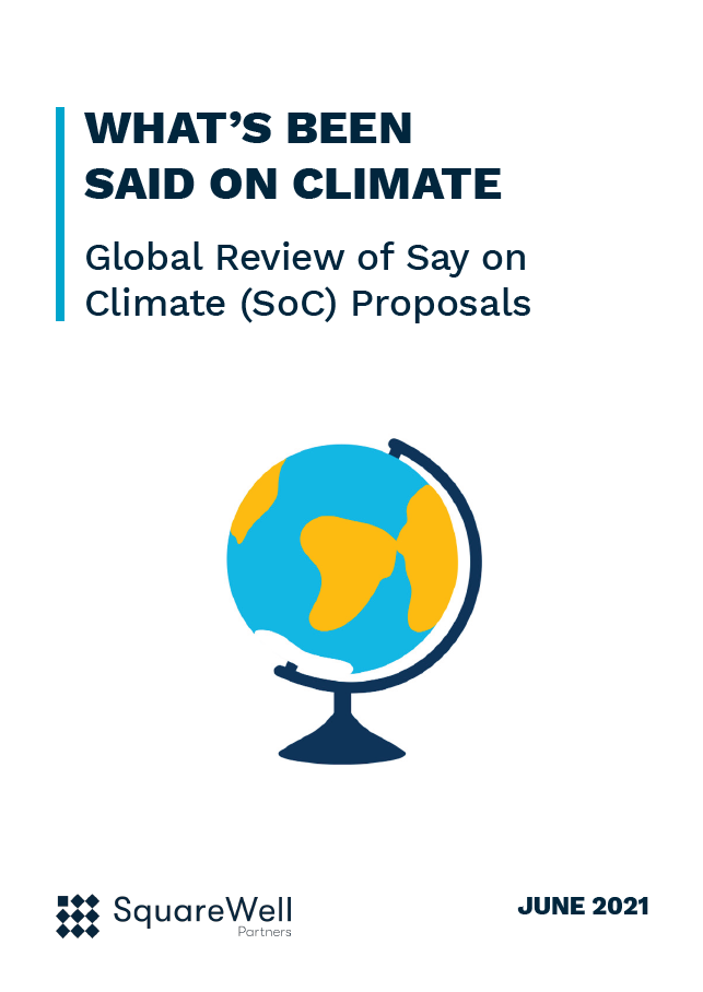 What's Been Said on Climate - A Global Review